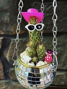 Boho Birdy