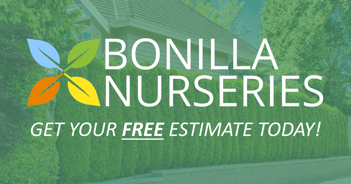 Bonilla Nurseries (Ficus Farm)