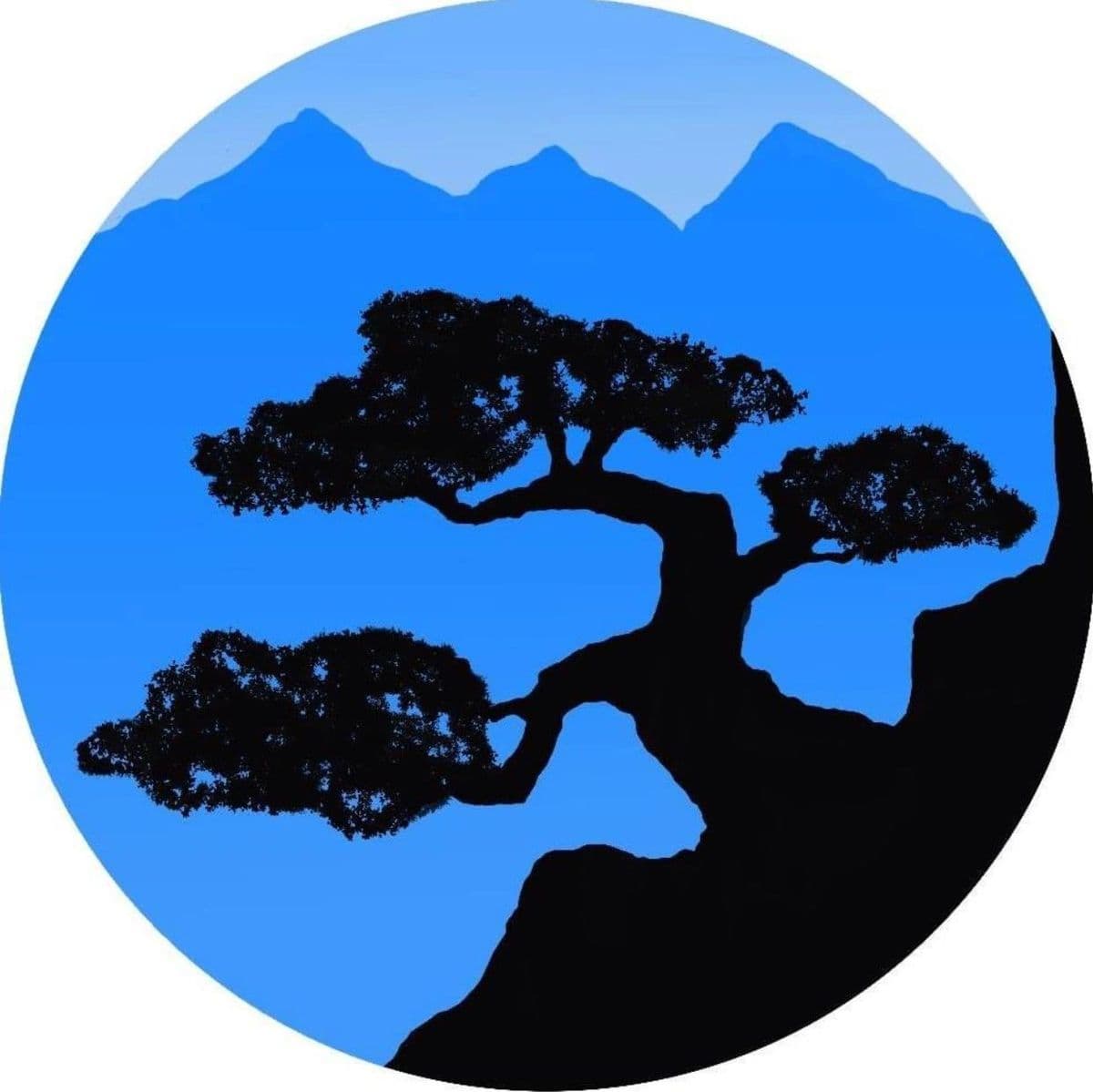 Bonsai Creations Colorado