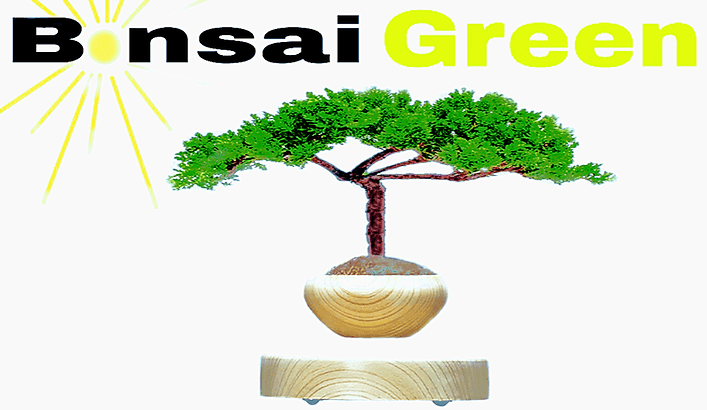 Bonsai Green online