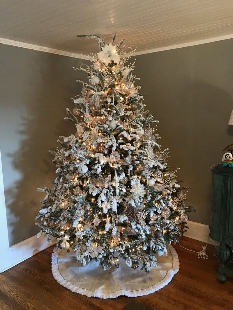 Booth's Christmas Tree Farm