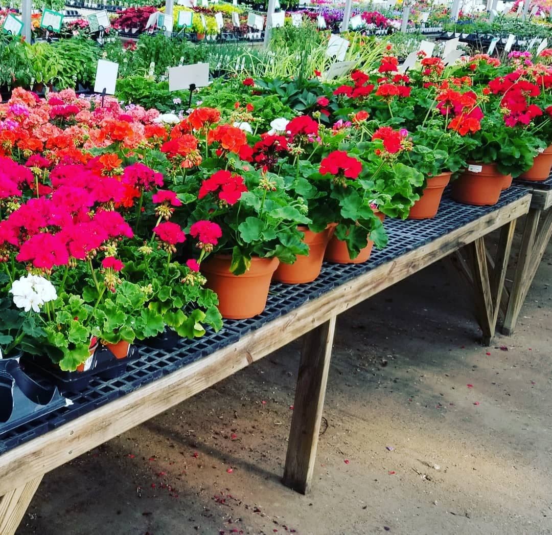 Bornholdt Plantland