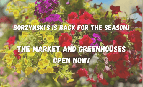 Borzynski's Farm & Floral Market