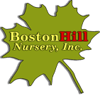Boston Hill Nursery, Inc.