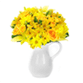 Botanica & Flowers