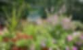 Botanica Nursery & Landscape