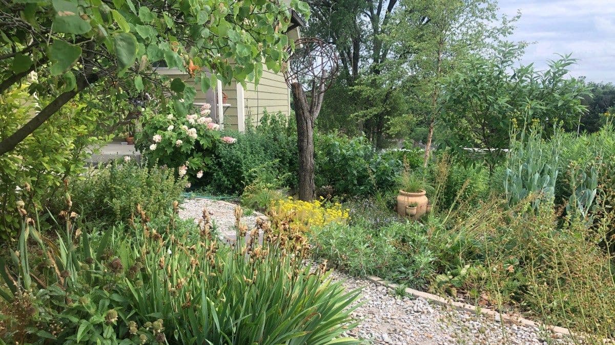 Botanical Belonging at Happy Apple's Farm
