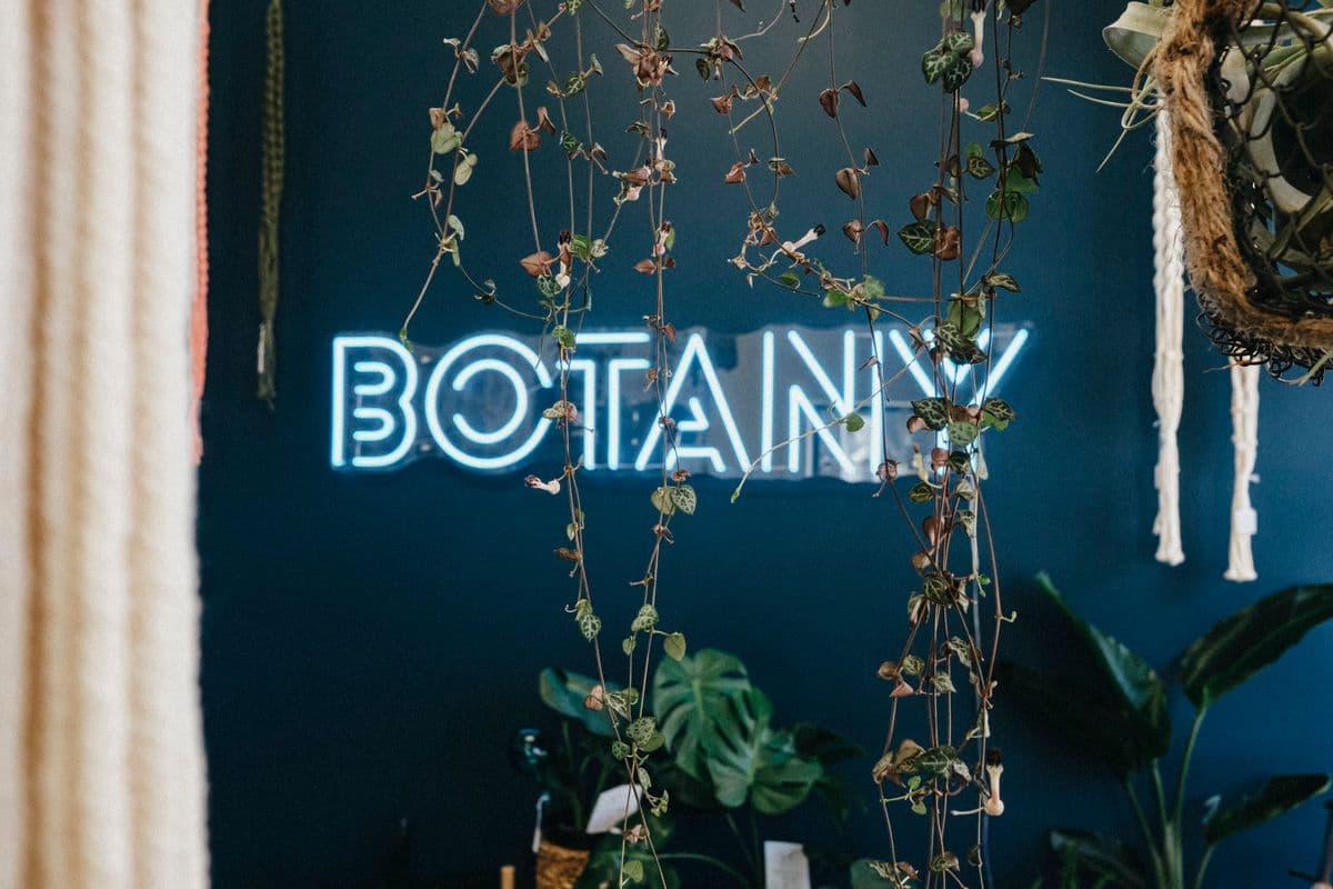 Botany & Co.