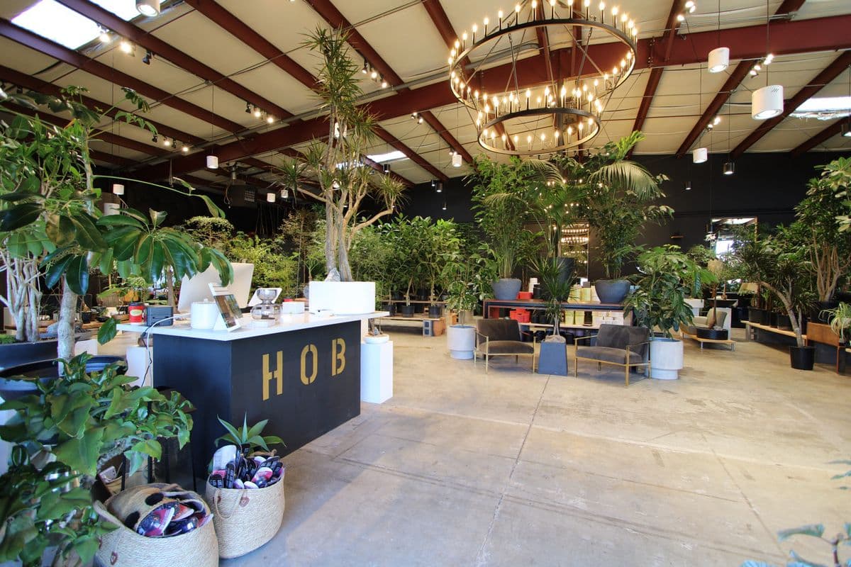 Botany Zhi ( house of botanicals)