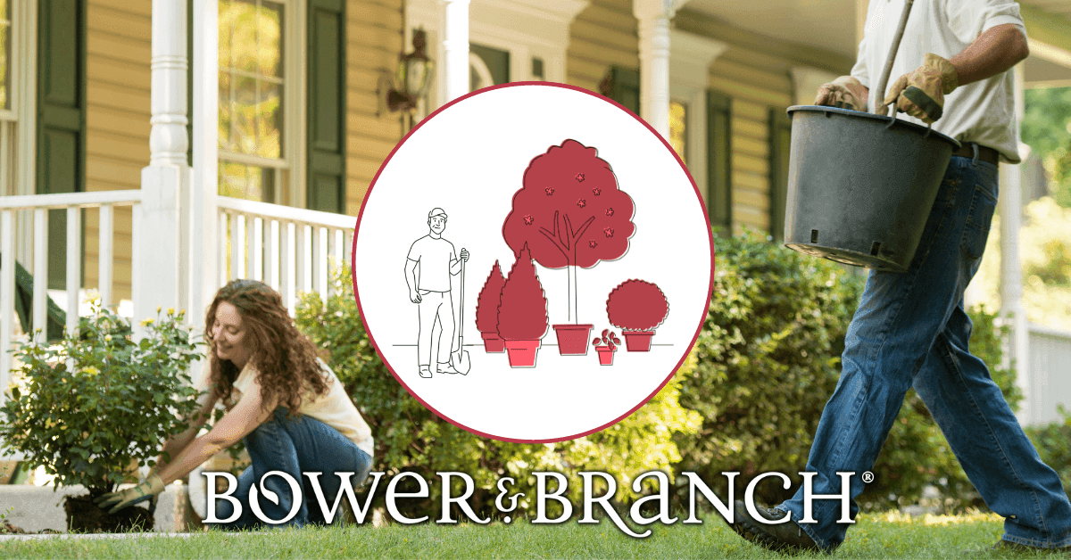 Bower & Branch