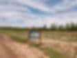 Boxelder Tree Farm