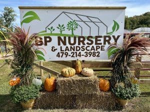BP Nursery and Landscape