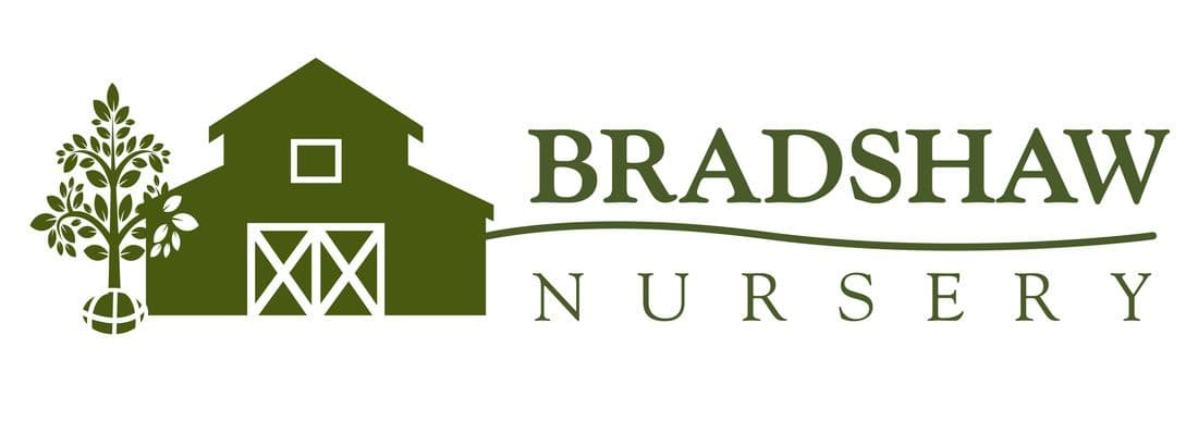 Bradshaw Nursery