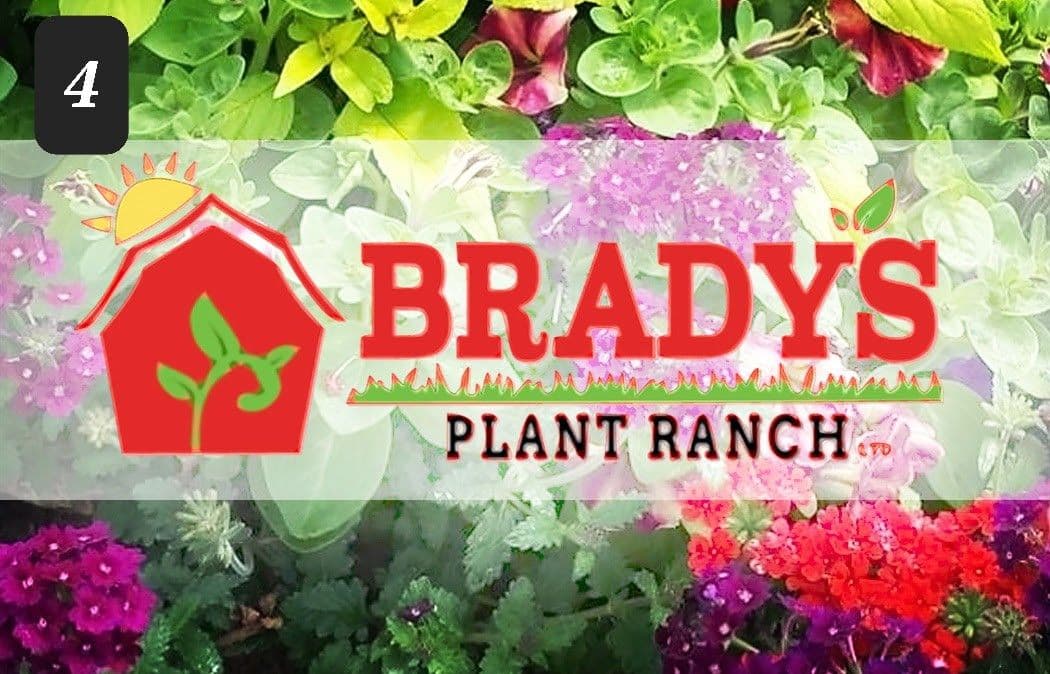 Brady's Plant Ranch - Your Garden Success Center