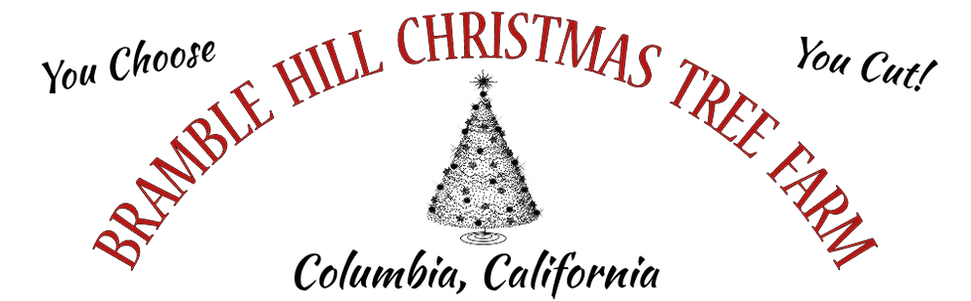 Bramble Hill Christmas Tree Farm
