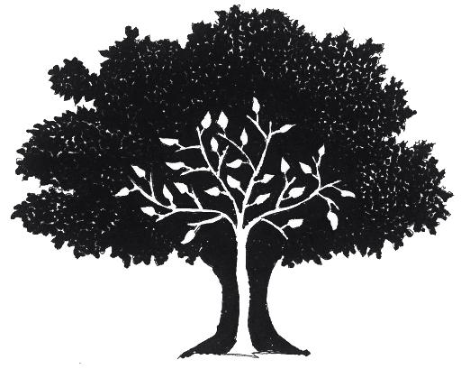 Branching Out, Inc.