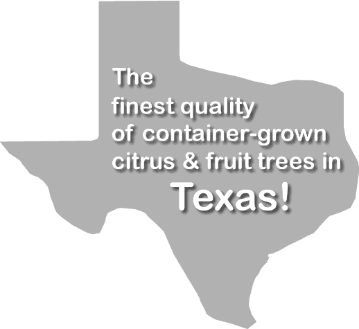 Brazos Citrus Nursery