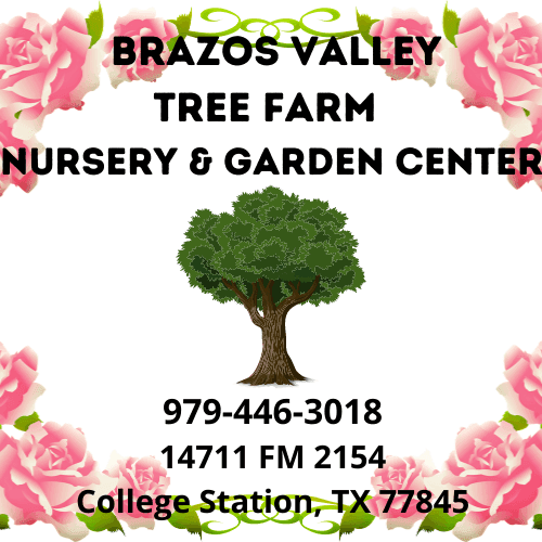 Brazos Valley Tree Farm Nursery and Garden Center