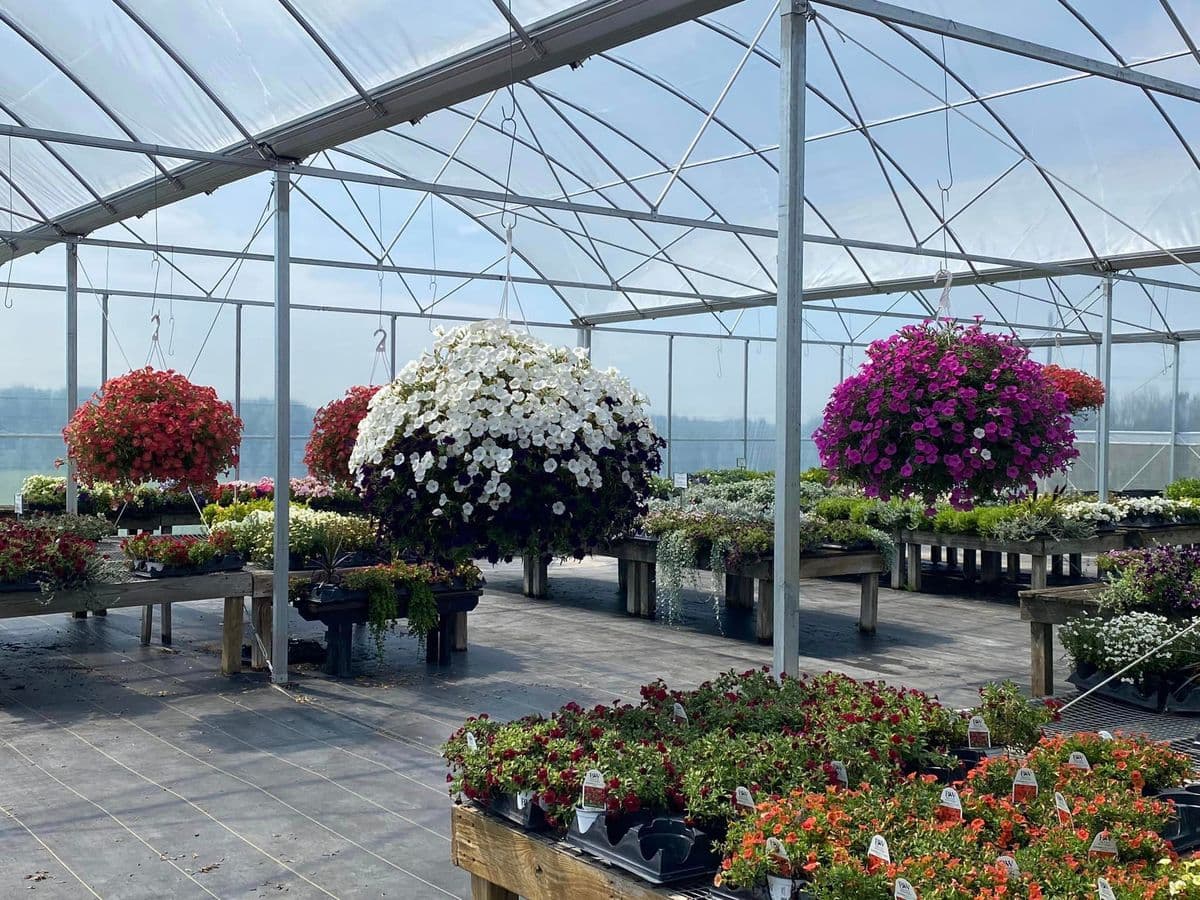 Breezy Acres Garden Center