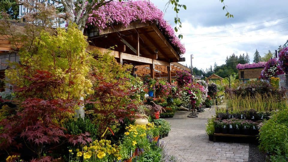 Bremerton City Nursery