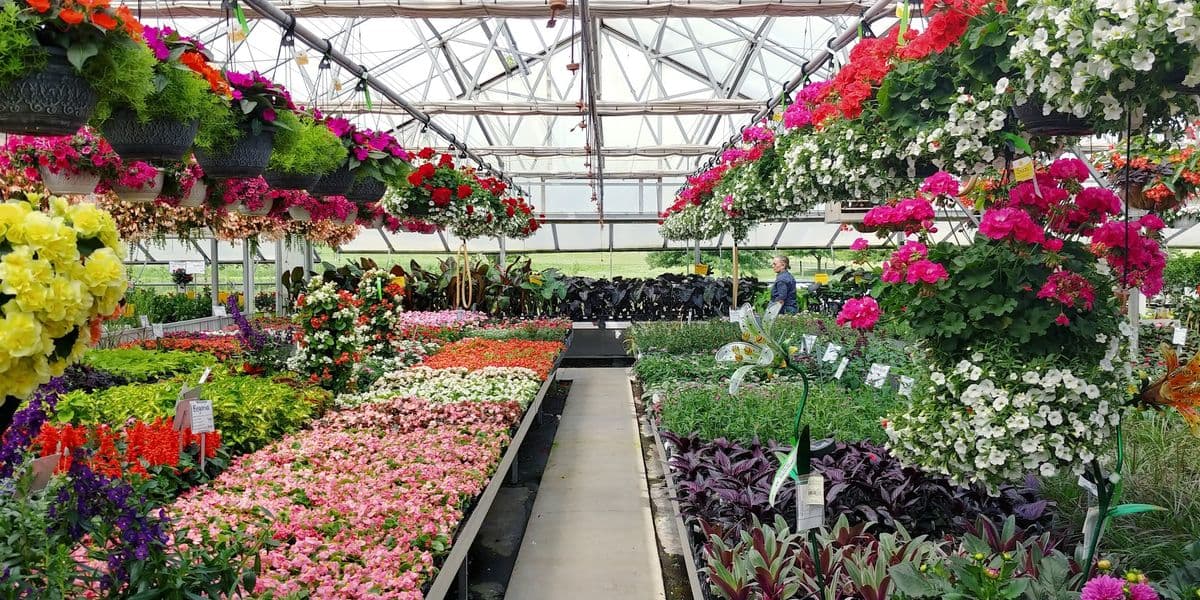 Briar Rose Greenhouse