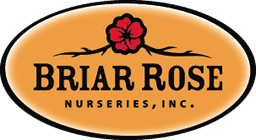 Briar Rose Nurseries