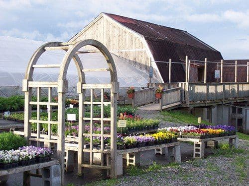 Brick House Acres - Garden Center & Berry Farm