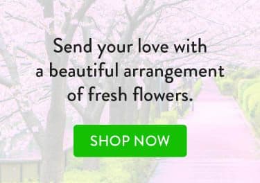 Brickell Exclusive Blooms