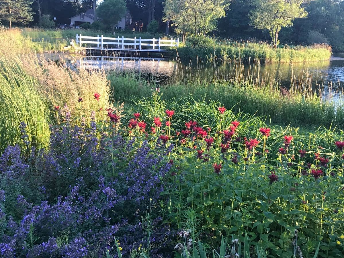 BridgeView Gardens