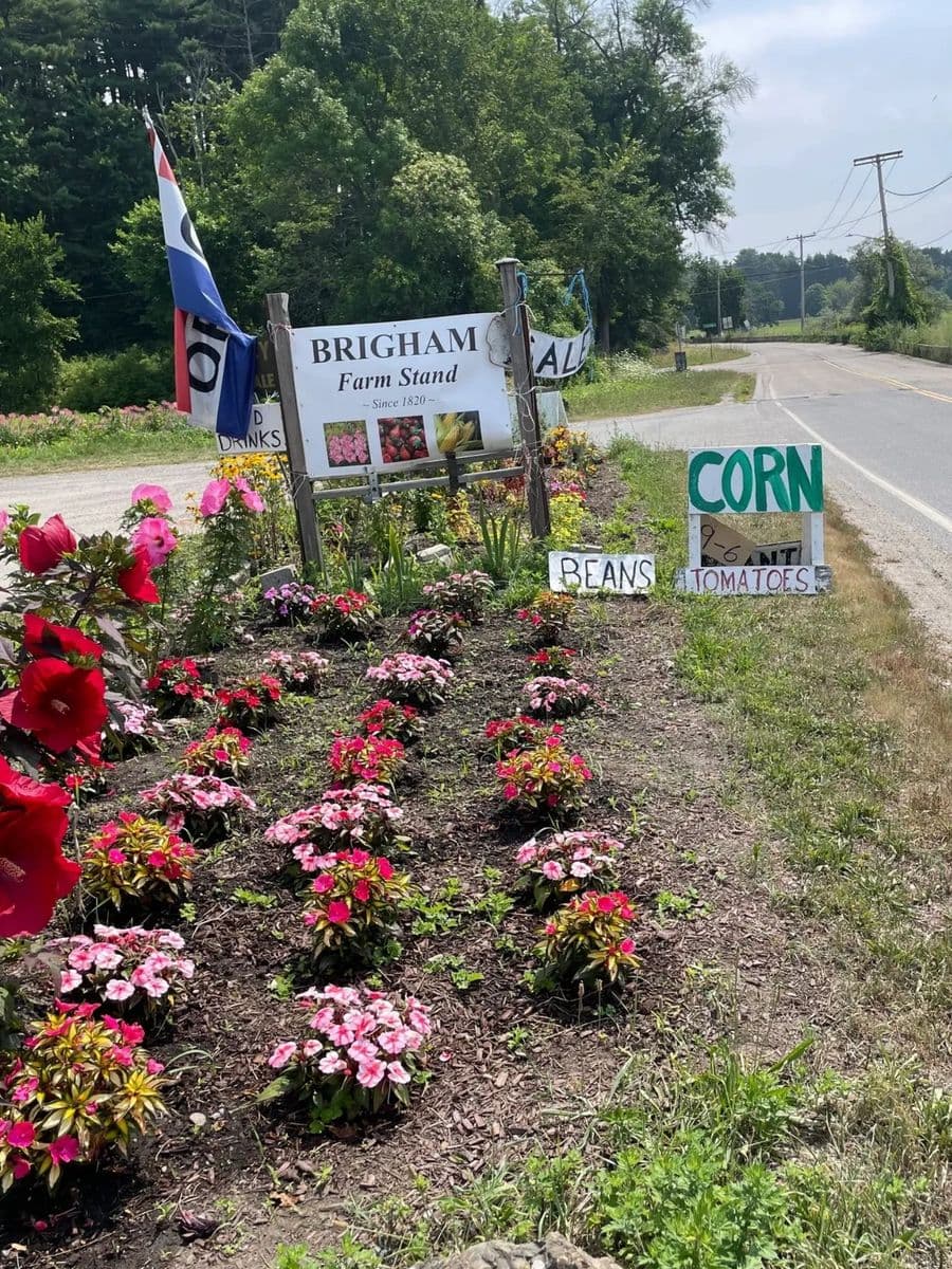 Brigham Farm