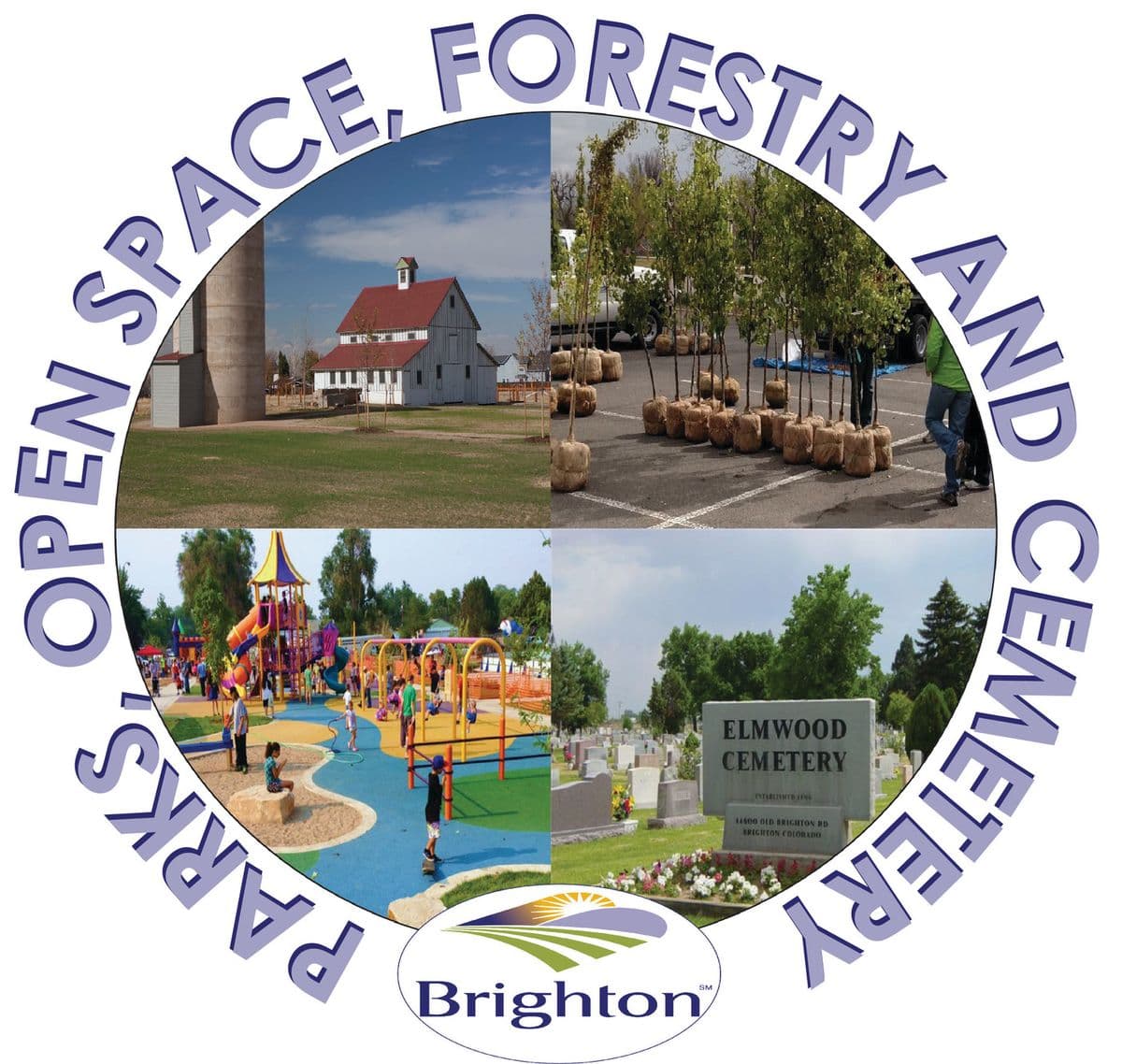 Brighton Tree Program