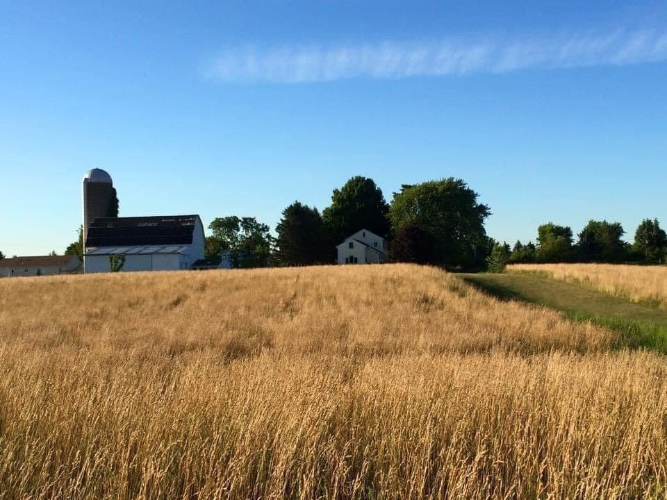 Bristol Hills Lavender and Flower Farm