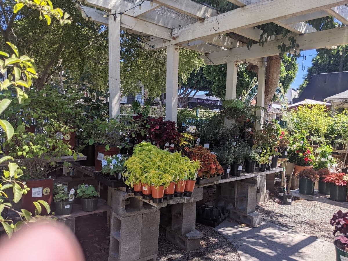 Brita's Old Town Gardens