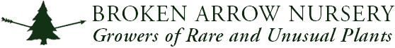 Broken Arrow Nursery