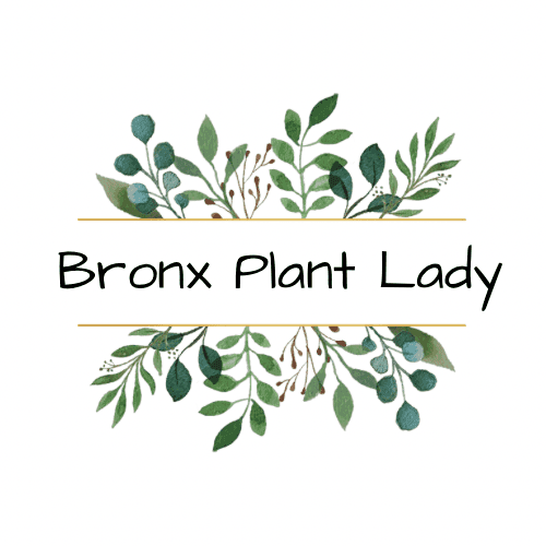 Bronx Plant Lady