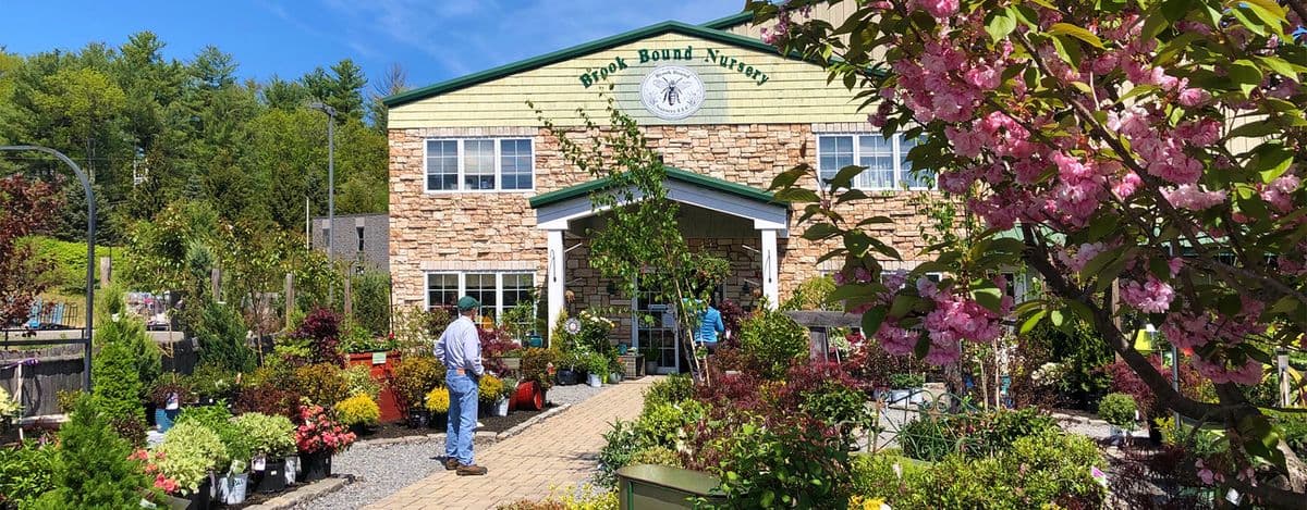 Brook Bound Nursery LLC
