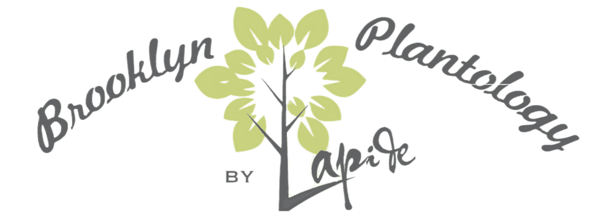 Brooklyn Plantology by Lapide