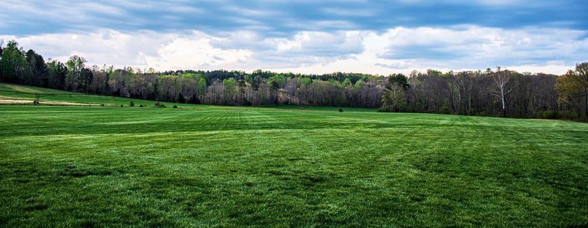 Brookmeade Sod Farm, Inc.