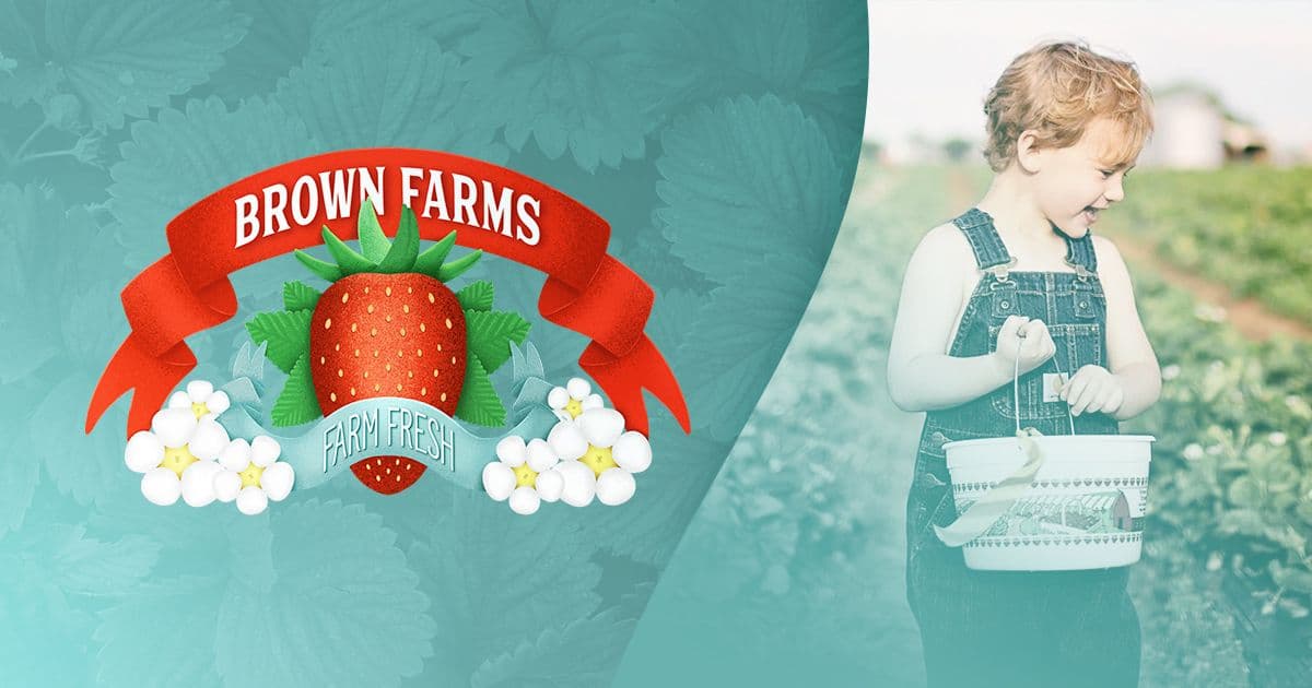 Brown Farms Strawberries: Harvest to Home Decor