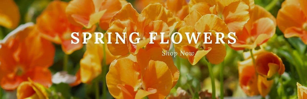 Brown Floral Company Inc