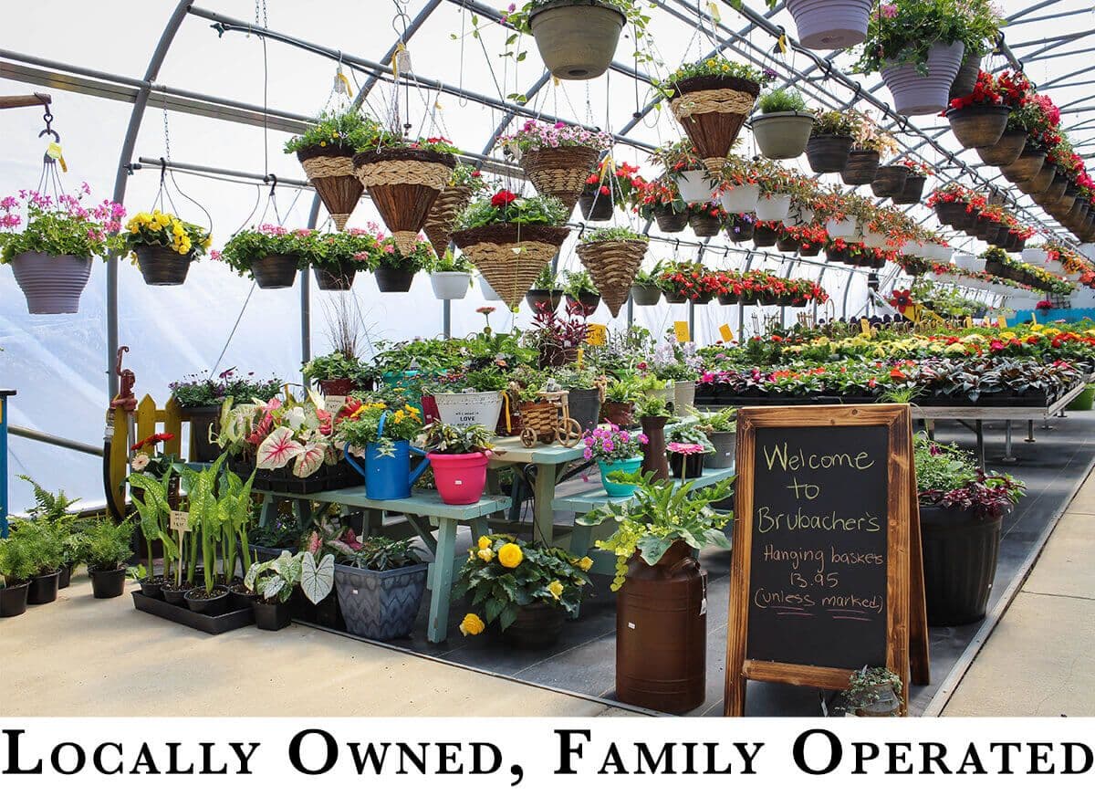 Brubacher’s Greenhouse