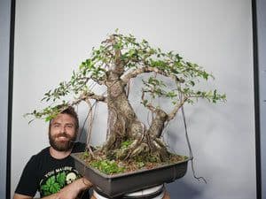 BryanLovesBonsai