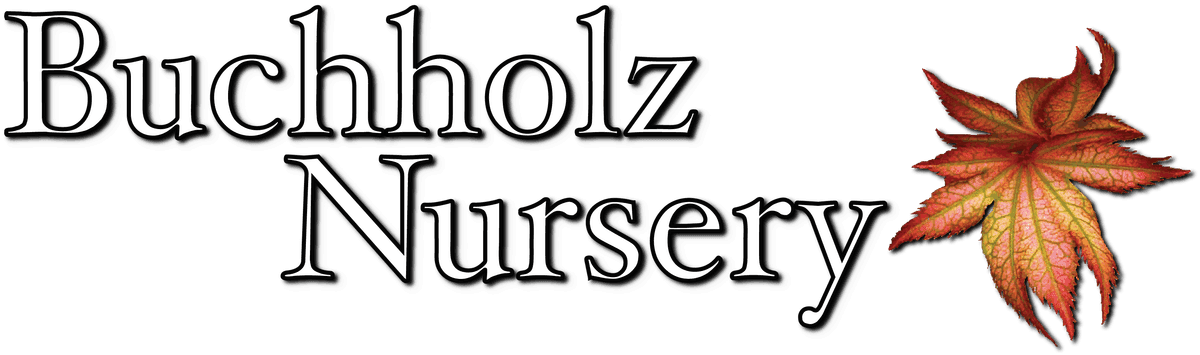 Buchholz Nursery