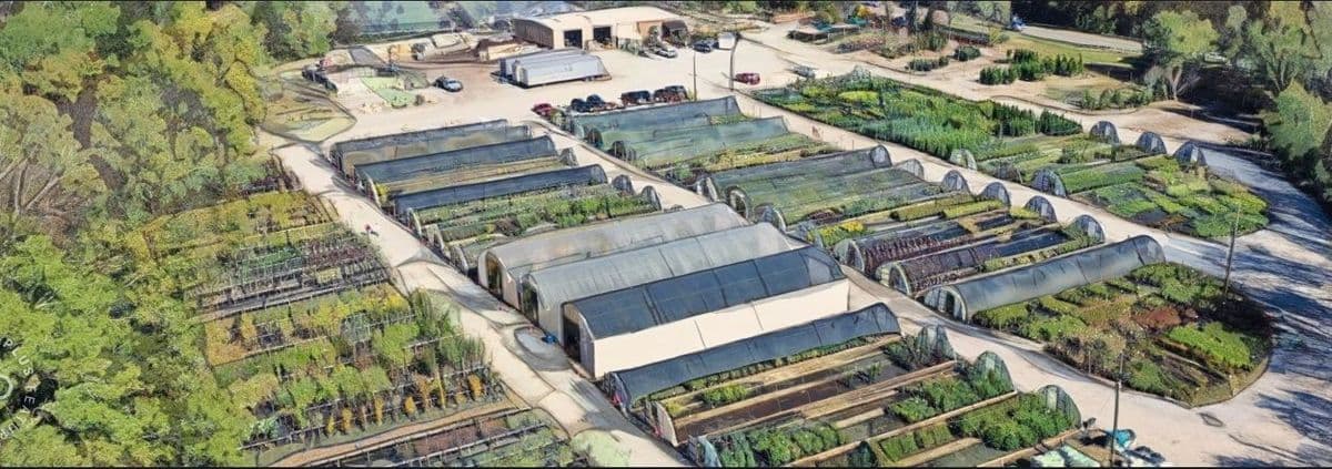 Buck Jones Nursery