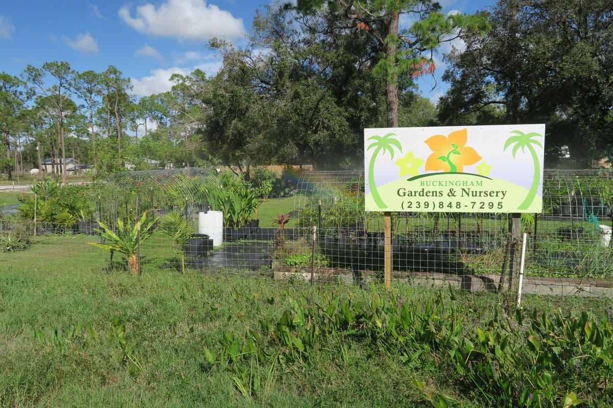 Buckingham Nursery