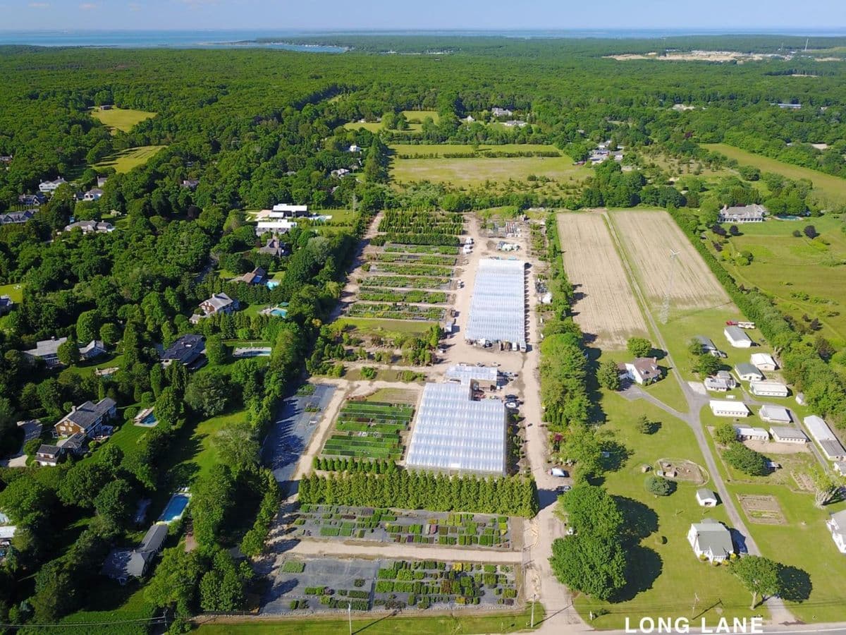 Buckley's Wholesale Farm