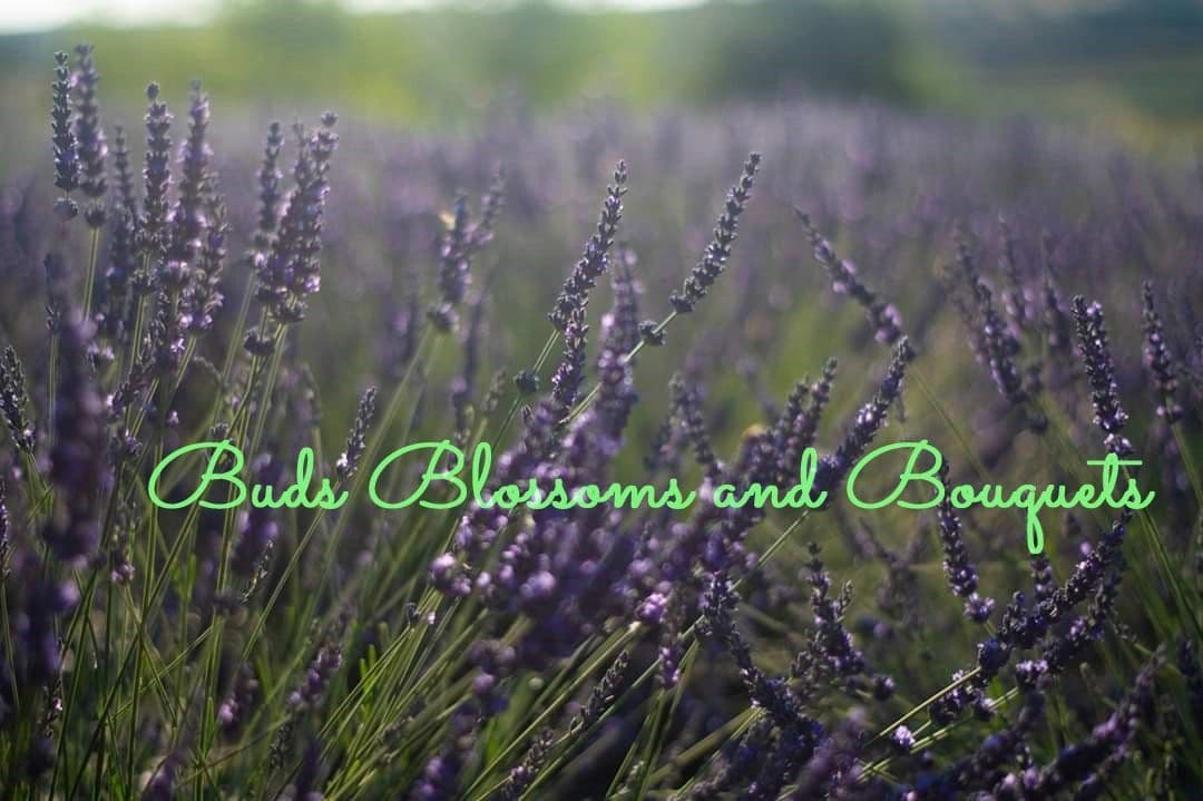 Buds Blossoms and Bouquets