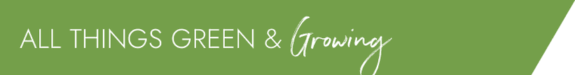 Burlington Garden Center