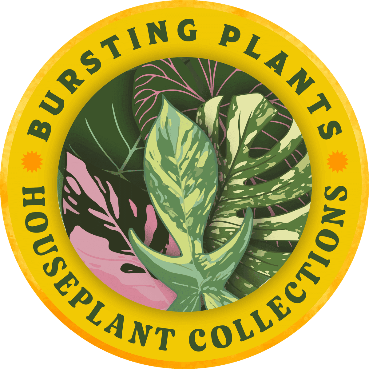 Bursting Plants