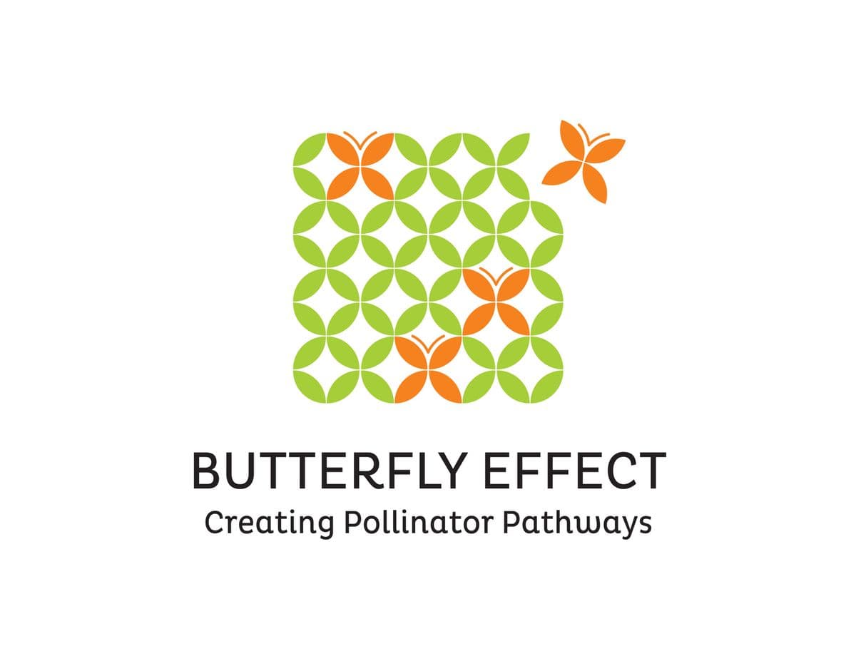 Butterfly Effect
